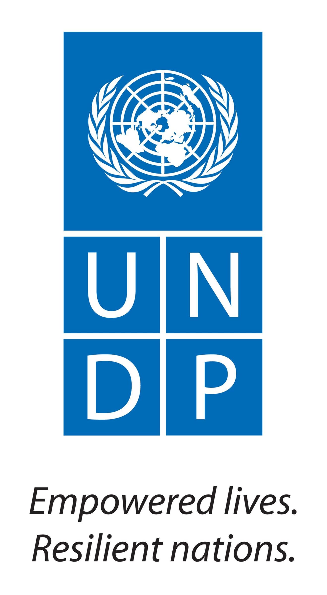 UNDP Logo Large